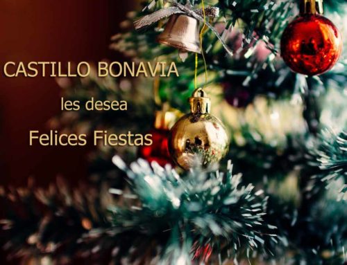 ¡Castillo Bonavía les desea unas Felices Fiestas!