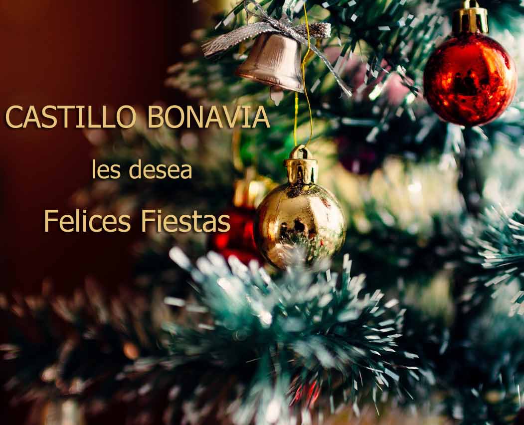 Felicitación de Navidad-Castillo Bonavia-2021
